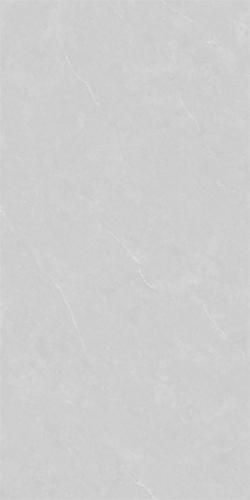 12HA1005G