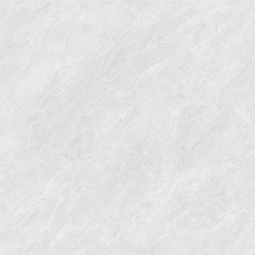 8HA956-PL