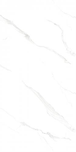 48HA112-PL (4)