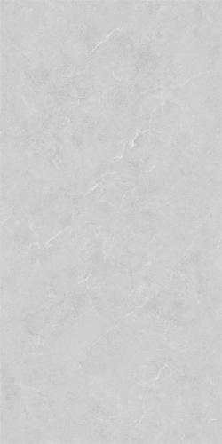 48HA602-PL (2)