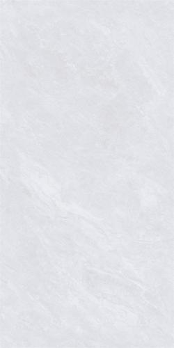 48HA956-PL-04