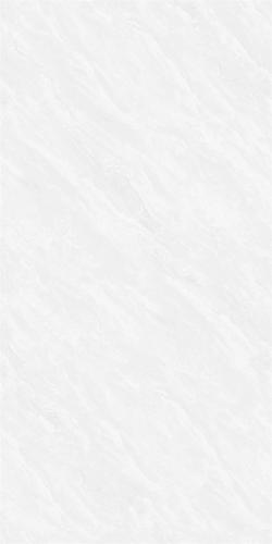 12HA955CTPL (2)