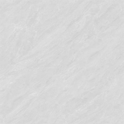 8HA838CTPL (3)