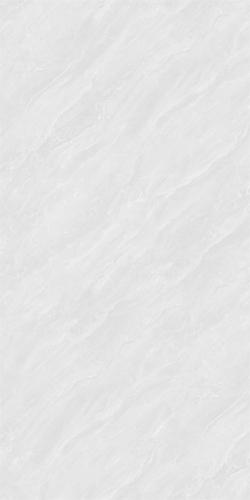 12HAE955-PL (2)