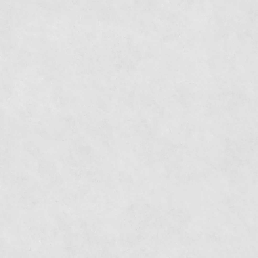 1745028248798960.jpg 05.webp.jpg